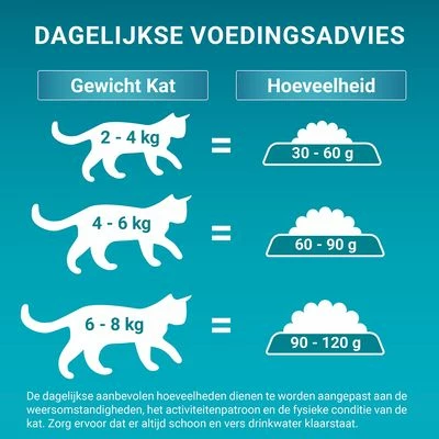 Purina ONE Vacht & Haarbal Kip Kattenvoer 7 Purina ONE Vacht & Haarbal Kip Kattenvoer - Afbeelding 5