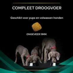 Purina Pro Plan Veterinary Diets - EN Gastrointestinal Hondenvoer 16 Purina Pro Plan Veterinary Diets - EN Gastrointestinal Hondenvoer -Hunter Verkoop 2024 puppvdddadven22ksizrnl 8