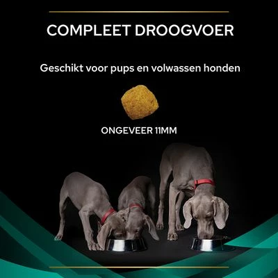 Purina Pro Plan Veterinary Diets - EN Gastrointestinal Hondenvoer 8 Purina Pro Plan Veterinary Diets - EN Gastrointestinal Hondenvoer - Afbeelding 6