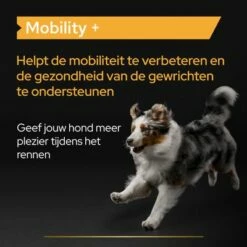PRO PLAN Dog Adult Mobility Supplement Poeder -Hunter Verkoop 2024 puprpnsdmormo23fnb1nrlnl 8