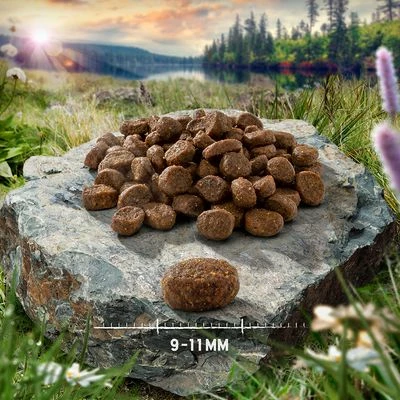 Purizon Adult Kip Met Vis Kattenvoer 9 Purizon Adult Kip Met Vis Kattenvoer - Afbeelding 7