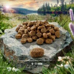 Purizon Adult Vis Kattenvoer -Hunter Verkoop 2024 purizon cat adult fish 9 11 mm p4 0