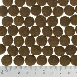 Purizon Large Adult Kip & Vis Hondenvoer -Hunter Verkoop 2024 purizon hund kroketten black angus4 7