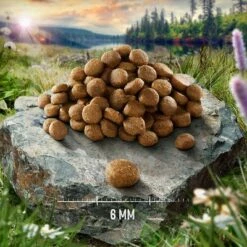 Purizon Single Meat Kip Met Kamillebloesem Kattenvoer 11 Purizon Single Meat Kip Met Kamillebloesem Kattenvoer -Hunter Verkoop 2024 purizon sm 1000x1000 1