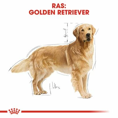 Royal Canin Golden Retriever Adult Hondenvoer 8 Royal Canin Golden Retriever Adult Hondenvoer - Afbeelding 6