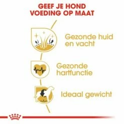 Royal Canin Golden Retriever Adult Hondenvoer 13 Royal Canin Golden Retriever Adult Hondenvoer -Hunter Verkoop 2024 rc bhn goldenretriever cv eretailkit 3 nl nl 9