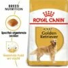 Royal Canin Golden Retriever Adult Hondenvoer -Hunter Verkoop 2024 rc bhn goldenretriever mv eretailkit nl nl 4