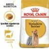 Royal Canin Yorkshire Terriër Adult Hondenvoer -Hunter Verkoop 2024 rc bhn yorkshire mv eretailkit nl nl 7