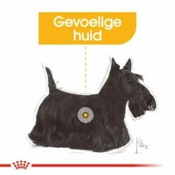 Royal Canin Health Nutrition Dermacomfort Mini Hondenvoer 20 Royal Canin Health Nutrition Dermacomfort Mini Hondenvoer -Hunter Verkoop 2024 rc ccn dermamini cv eretailkit 2 nl nl 1