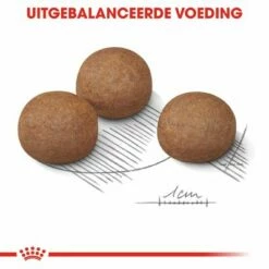 Royal Canin Maxi Digestive Care Hondenvoer -Hunter Verkoop 2024 rc ccn digestivemaxi cv eretailkit 5 nl nl 9