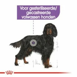 Royal Canin Maxi Adult Sterilised Hondenvoer -Hunter Verkoop 2024 rc ccn sterilisedmaxi cv eretailkit 2 nl nl 8