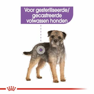 Royal Canin Mini Adult Sterilised Hondenvoer 10 Royal Canin Mini Adult Sterilised Hondenvoer - Afbeelding 8