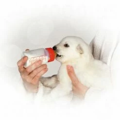 Royal Canin Babydog Milk -Hunter Verkoop 2024 rc dolgmilk2 9 0