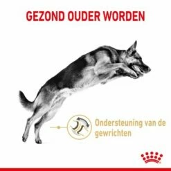 Royal Canin Breed German Shepherd Adult 5+ Hondenvoer 10 Royal Canin Breed German Shepherd Adult 5+ Hondenvoer -Hunter Verkoop 2024 rc spt dry germshep5 cv 1 nl nl 3