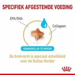Royal Canin Breed German Shepherd Adult 5+ Hondenvoer 11 Royal Canin Breed German Shepherd Adult 5+ Hondenvoer -Hunter Verkoop 2024 rc spt dry germshep5 cv 2 nl nl 5
