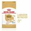 Royal Canin Breed Labrador Retriever Adult 5+ Hondenvoer -Hunter Verkoop 2024 rc spt dry lab5 mv 1 de de 3