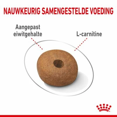 Royal Canin Medium Light Weight Care Hondenvoer 6 Royal Canin Medium Light Weight Care Hondenvoer - Afbeelding 4