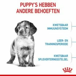 Royal Canin Medium Puppy Hondenvoer 14 Royal Canin Medium Puppy Hondenvoer -Hunter Verkoop 2024 rc spt dry mediumpuppy cv 2 nl nl 1 4