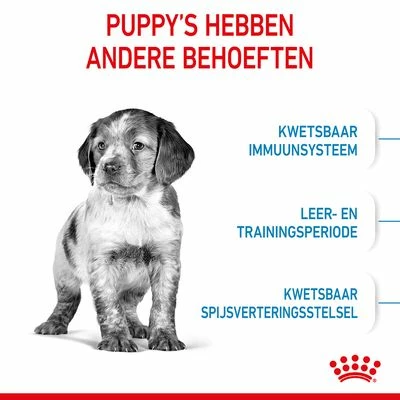 Royal Canin Medium Puppy Hondenvoer 6 Royal Canin Medium Puppy Hondenvoer - Afbeelding 4