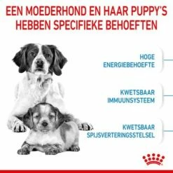 Royal Canin Medium Starter Mother & Babydog Hondenvoer -Hunter Verkoop 2024 rc spt dry mediumstart cv 2 nl nl 1 3