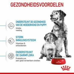 Royal Canin Medium Starter Mother & Babydog Hondenvoer -Hunter Verkoop 2024 rc spt dry mediumstart cv 3 nl nl 1 0