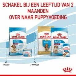 Royal Canin Medium Starter Mother & Babydog Hondenvoer -Hunter Verkoop 2024 rc spt dry mediumstart cv 5 nl nl 1 9