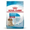 Royal Canin Medium Starter Mother & Babydog Hondenvoer 2 Royal Canin Medium Starter Mother & Babydog Hondenvoer -Hunter Verkoop 2024 rc spt dry mediumstart mv 2 nl nl 1 1