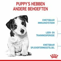 Royal Canin Mini Puppy / Junior Hondenvoer -Hunter Verkoop 2024 rc spt dry minipuppy cv 2 nl nl 1 4