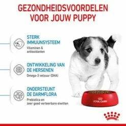 Royal Canin Mini Puppy / Junior Hondenvoer -Hunter Verkoop 2024 rc spt dry minipuppy cv 3 nl nl 1 6