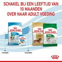 Royal Canin Mini Puppy / Junior Hondenvoer -Hunter Verkoop 2024 rc spt dry minipuppy cv 5 nl nl 1 4