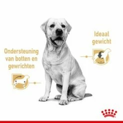 Royal Canin Breed Labrador Retriever Adult Hondenvoer In Saus -Hunter Verkoop 2024 rc spt wet labad cv 1 nl nl 8