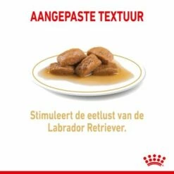 Royal Canin Breed Labrador Retriever Adult Hondenvoer In Saus -Hunter Verkoop 2024 rc spt wet labad cv 2 nl nl 1