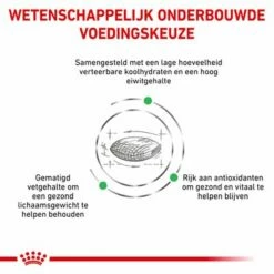 Royal Canin Veterinary - Diabetic Hondenvoer -Hunter Verkoop 2024 rc vet dry dogdiabetic cv eretailkit 3 nl nl 0