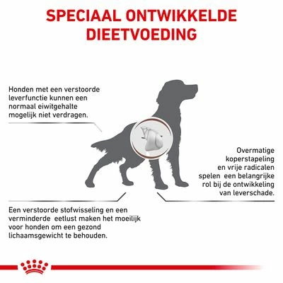 Royal Canin Veterinary - Hepatic HF Hondenvoer 7 Royal Canin Veterinary - Hepatic HF Hondenvoer - Afbeelding 5