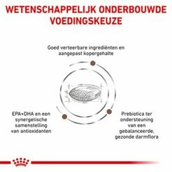 Royal Canin Veterinary - Hepatic HF Hondenvoer 13 Royal Canin Veterinary - Hepatic HF Hondenvoer -Hunter Verkoop 2024 rc vet dry doggastrohep cv eretailkit 3 nl nl 4