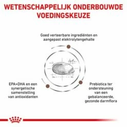Royal Canin Veterinary - Fibre Response Hondenvoer -Hunter Verkoop 2024 rc vet dry doggastrohf cv eretailkit 3 nl nl 0