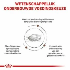 Royal Canin Veterinary - Gastro Intestinal Low Fat Hondenvoer 16 Royal Canin Veterinary - Gastro Intestinal Low Fat Hondenvoer -Hunter Verkoop 2024 rc vet dry doggastrolf cv eretailkit 3 nl nl 7