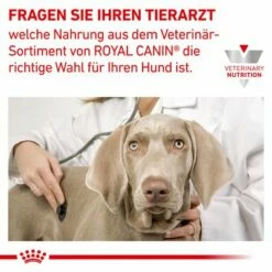 Royal Canin Veterinary Canine Hypoallergenic Puppy -Hunter Verkoop 2024 rc vet dry doghypopu cv eretailkit 6 de de 3