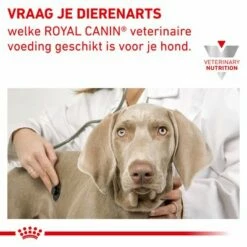 Royal Canin Veterinary - Hypoallergenic Small Dog Hondenvoer 17 Royal Canin Veterinary - Hypoallergenic Small Dog Hondenvoer -Hunter Verkoop 2024 rc vet dry doghyposd cv eretailkit 8 nl nl 8