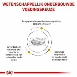 Royal Canin Veterinary - Urinary S/O Moderate Calorie Hondenvoer -Hunter Verkoop 2024 rc vet dry dogurinarysomc cv eretailkit 2 nl nl 3