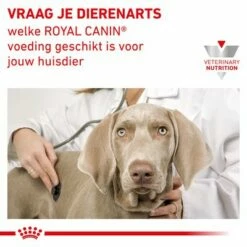 Royal Canin Veterinary Canine Recovery Mousse -Hunter Verkoop 2024 rc vet wet mixrecov195g cv eretailkit 7 nl nl 1
