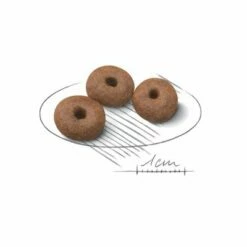 Royal Canin Giant Starter Mother & Babydog Hondenvoer 7 Royal Canin Giant Starter Mother & Babydog Hondenvoer -Hunter Verkoop 2024 royal canin shn giant starter kibble 2