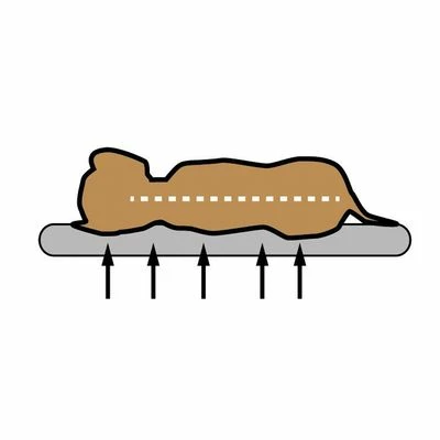 Pawz & Pepper Hondenkussen Denver Ortho 7 Pawz & Pepper Hondenkussen Denver Ortho - Afbeelding 5