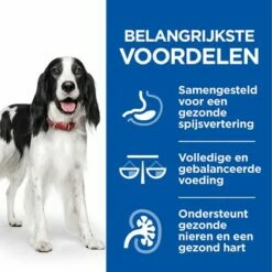Hill's Science Plan Canine Adult Healthy Cuisine Met Kip Hondenvoer -Hunter Verkoop 2024 sp healthy cuisine thumbnails dog adult benefits nl 9