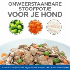 Hill's Science Plan Canine Adult Healthy Cuisine Met Kip Hondenvoer -Hunter Verkoop 2024 sp healthy cuisine thumbnails dog bowl nl 2