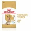 Royal Canin Breed Yorkshire Terrier Adult 8+ Hondenvoer -Hunter Verkoop 2024 spt dry4 7