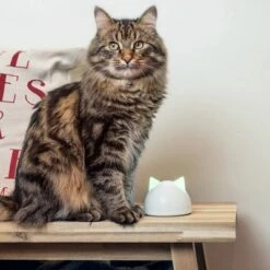 SureFlap Microchip Pet Door Connect - L -Hunter Verkoop 2024 sureflap microchip petdoorconnect hs 10 0