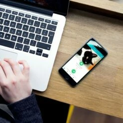 SureFlap Microchip Pet Door Connect - L -Hunter Verkoop 2024 sureflap microchip petdoorconnect hs 13 1