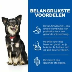 Hill's Science Plan Adult Perfect Digestion Small & Mini Breed Hondenvoer -Hunter Verkoop 2024 thumbnail 12 1