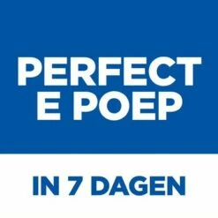 Hill's Science Plan Adult Perfect Digestion Met Kip Hondenvoer -Hunter Verkoop 2024 thumbnail 36 4